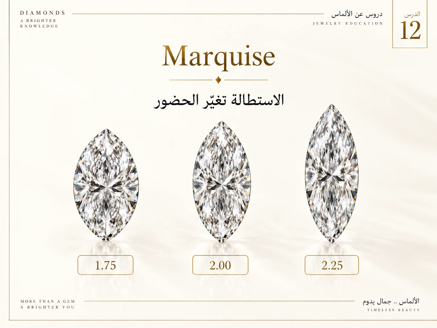 مقارنة بصرية بين Marquise قصير ومتوازن وطويل.