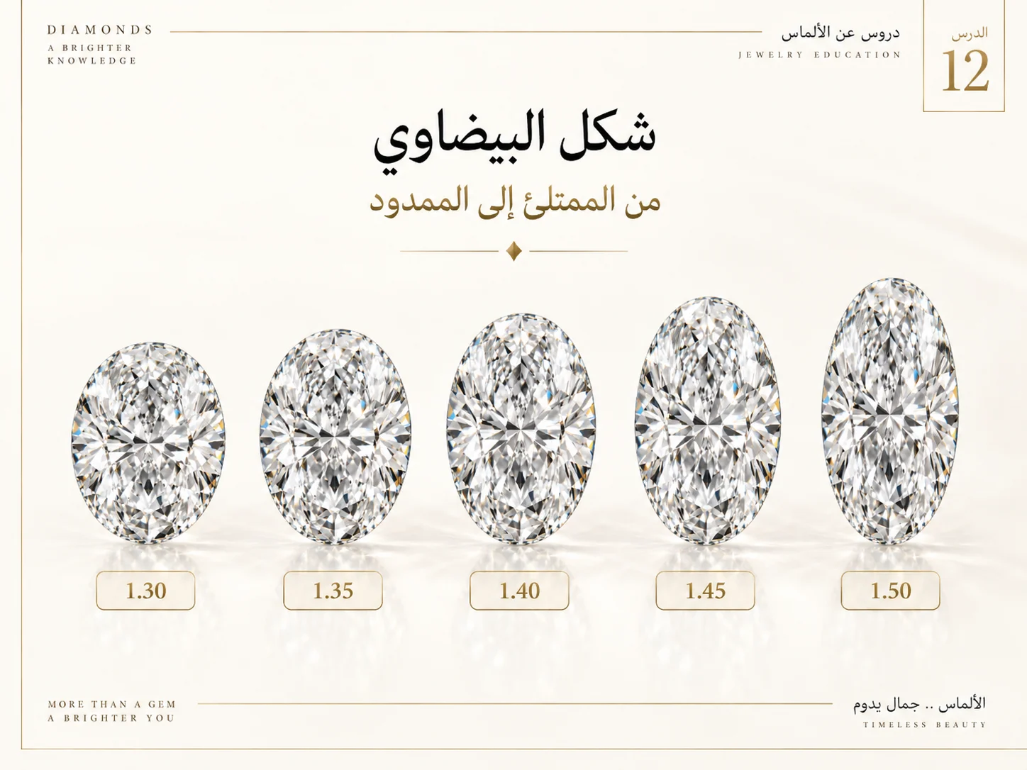 تدرج بصري لأشكال Oval من الممتلئ إلى الأكثر استطالة حسب Length-to-Width Ratio.
